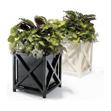 plant pot