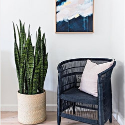Home of Australian Art - Products