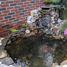 Koi Pond Ideas