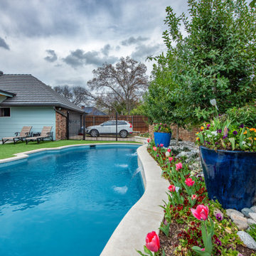 Backyard Oasis with Pool