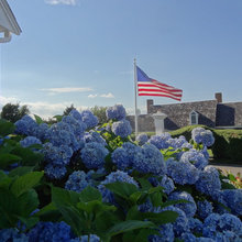 capecod