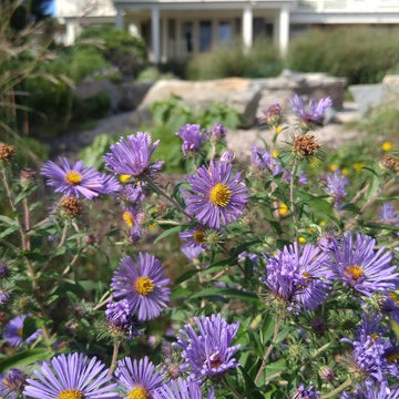 Ecological Coastal Estate