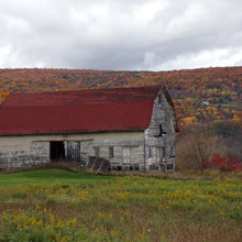 BARNS