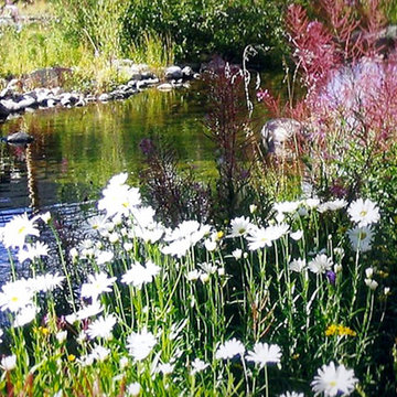 Water Features