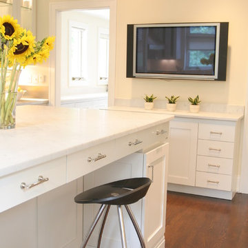 Lake Harriet Remodel