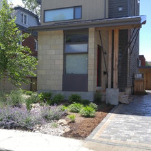 Yard Makeover