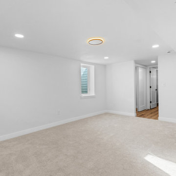 Basement Master