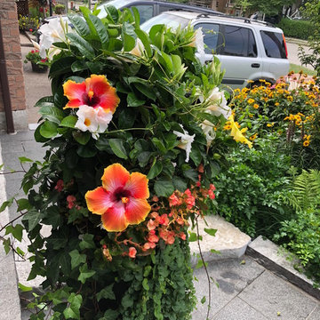 Summer Urn/Planter Arrangements