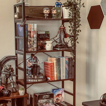 Houzz.com | Collector Figures, Model and Toys Display Cabinets Ideas