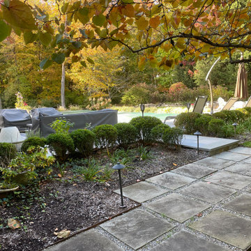 Darien New Pool & Patio