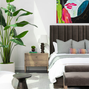 Preston Hollow Modern Minimalist Furnishing