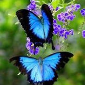 Holly Weslek-Avona's photo
