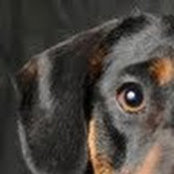 Heather Miller Rubens's photo