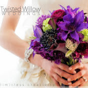 Twisted Willow Flowers's photo