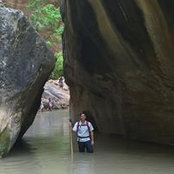 Michael Curtis's photo