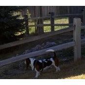 Foto von Joy Doyle