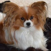 Alma Beuck's photo