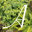 Artemis Photographic Services
