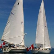 Chris Cayley's photo