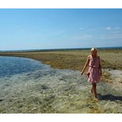 Levke Nele's photo