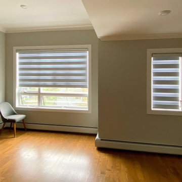 Springblinds Premium Zebra Dual Sheer Shades