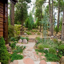 Cabin Yard
