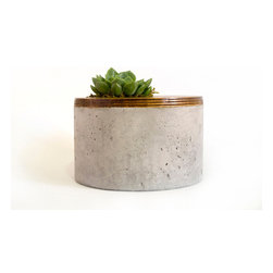Mr Clooney Planter - Indoor Pots And Planters