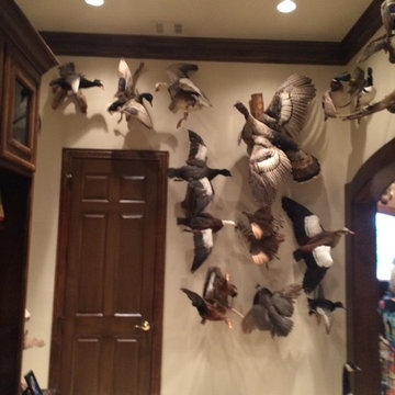 Bob Rod Trophy Room