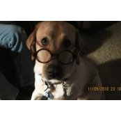Douglas Boyd's photo