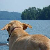 Foto de Heather Preece Pageau