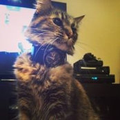 Jacob Briner's photo