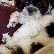 Peggy Ott's photo