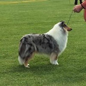 Sue Kennedy's photo