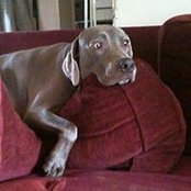 Julie Johnson's photo