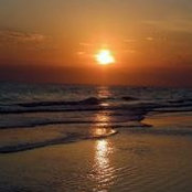 Wendy Wolman's photo