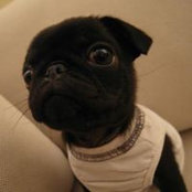 Nancy Chiang's photo