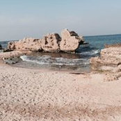 Foto von Celine Barakeh