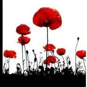 Dawn Byes foto