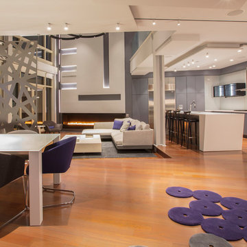 Penthouse in Adams Morgan