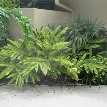 Individual Plant Photos # 1:Customer Aid (Not complete- hundreds will be here)