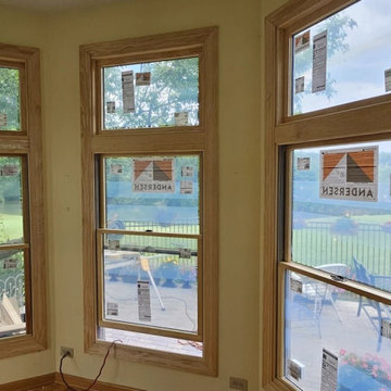 Windows Replacement Project