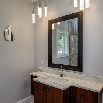 French Contemporary Lakeside - Endura Homes