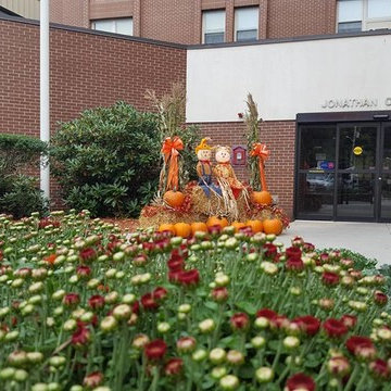 Fall Decor