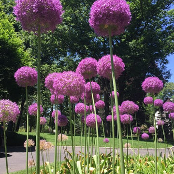 Summer Flowers and Containers