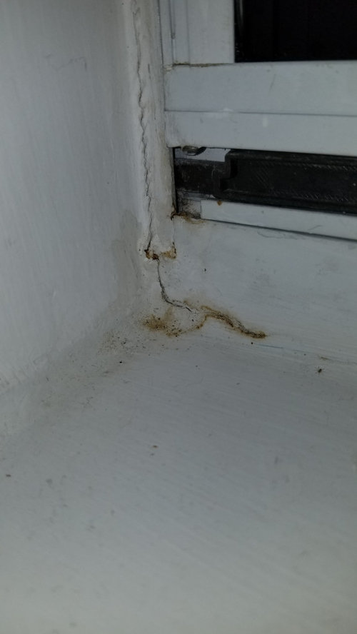 Awful odor coming from window