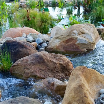 Bubbling water falls over rocks into the NSP