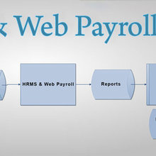 Web Payroll Management System