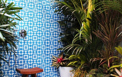 Decorating: Bring a Taste of the Tropics to Every Room of Your House