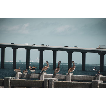 Skyway Bridge and Bob's Pelican Friends Wildlife Photo Unframed Wall Art Print, 12" X 18"