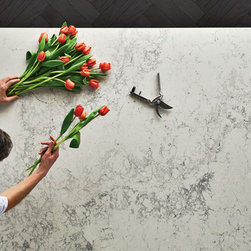 Ciot | CAESARSTONE Collection - Kitchen Countertops